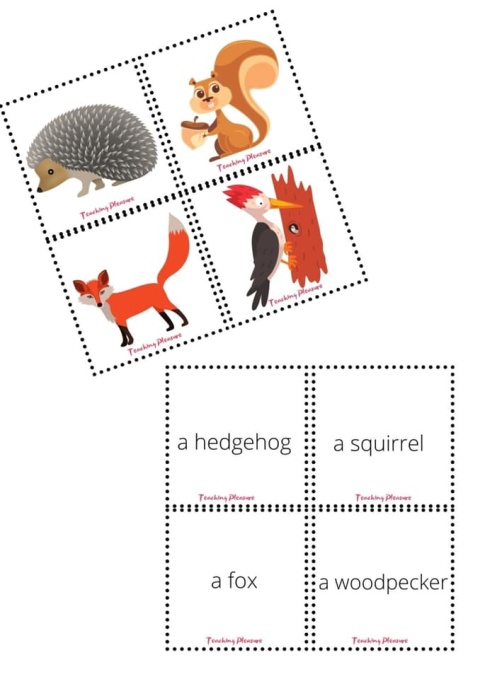 AUTUMN - vocabulary, speaking and games PACK AUTUMN - vocabulary, speaking and games PACK